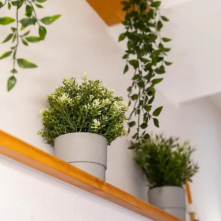 Vittoria Guest house